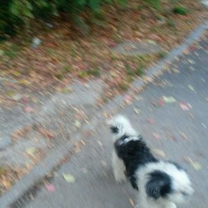 Meet your Posher, Emery